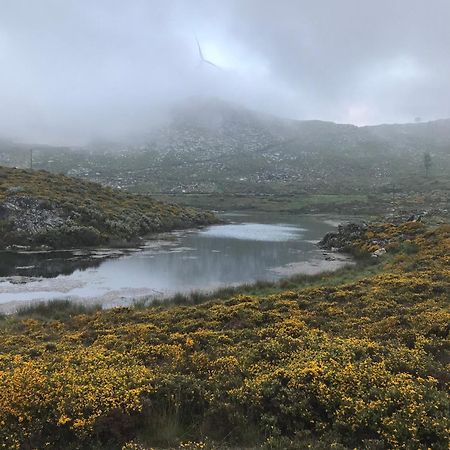 Lago Da Garca Guesthouse São Pedro do Sul Dış mekan fotoğraf