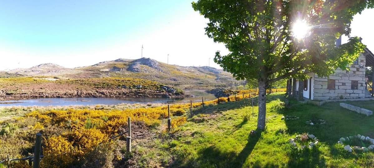 Lago Da Garca Guesthouse São Pedro do Sul Dış mekan fotoğraf
