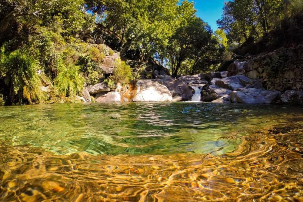 Lago Da Garca Guesthouse São Pedro do Sul Dış mekan fotoğraf