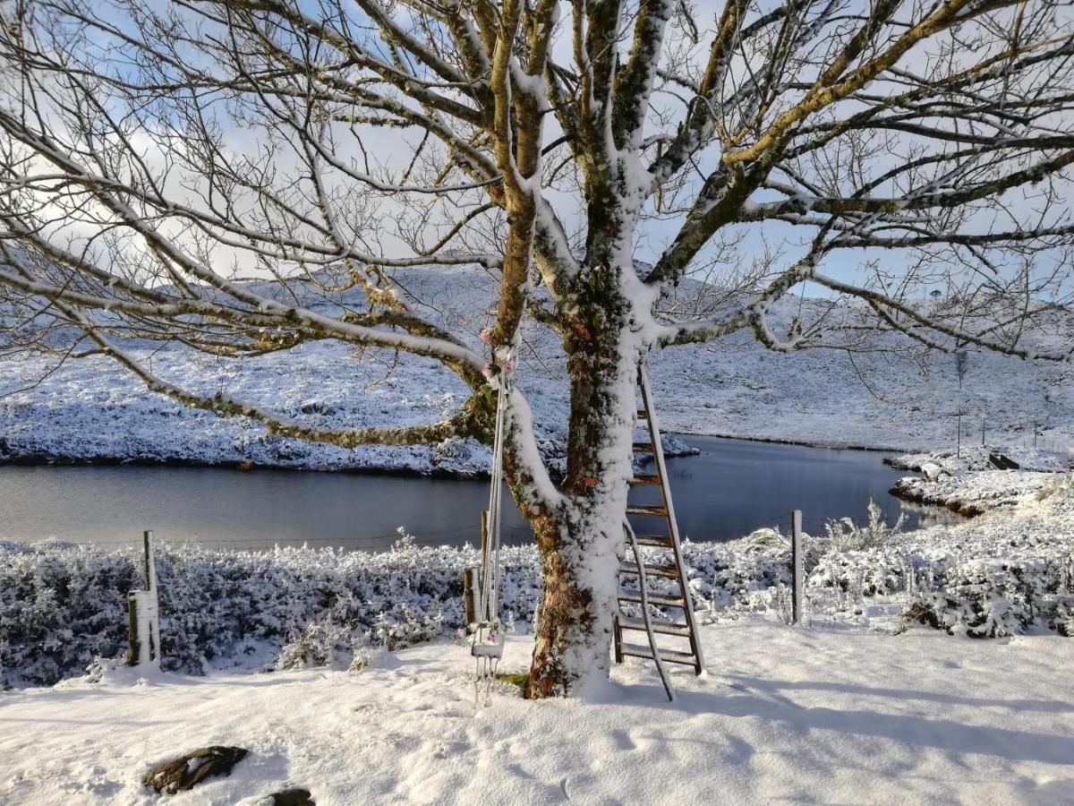 Lago Da Garca Guesthouse São Pedro do Sul Dış mekan fotoğraf