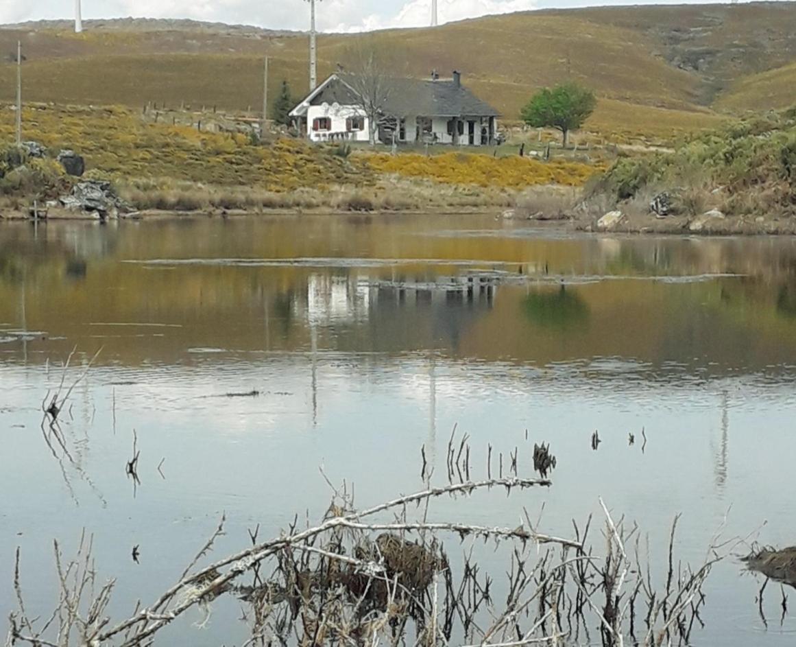 Lago Da Garca Guesthouse São Pedro do Sul Dış mekan fotoğraf