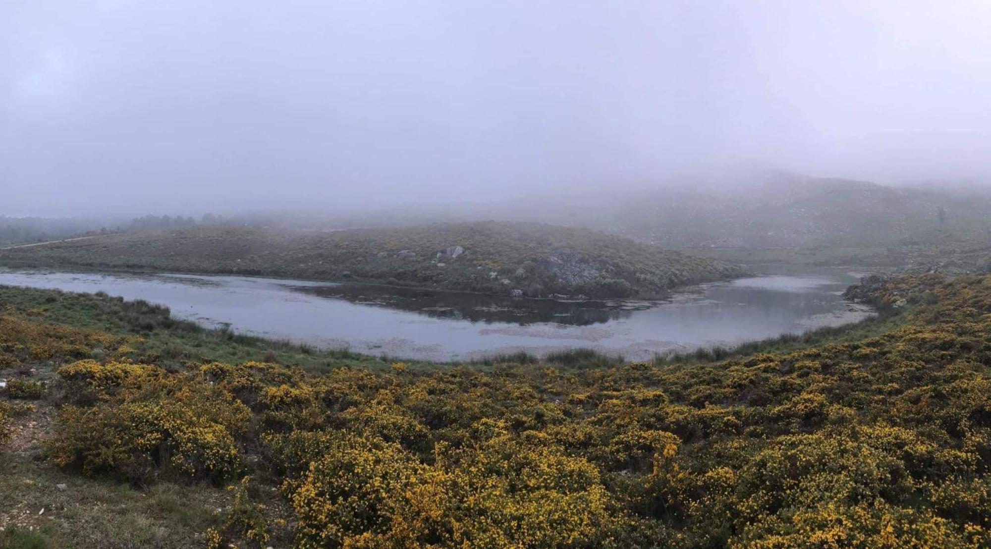 Lago Da Garca Guesthouse São Pedro do Sul Dış mekan fotoğraf